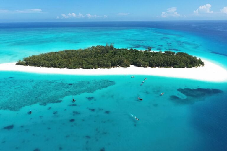 Mnemba Island