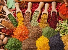 Spice Tour 2