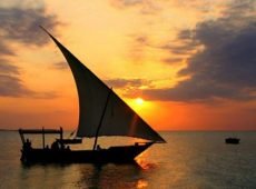 tour_gallery_11